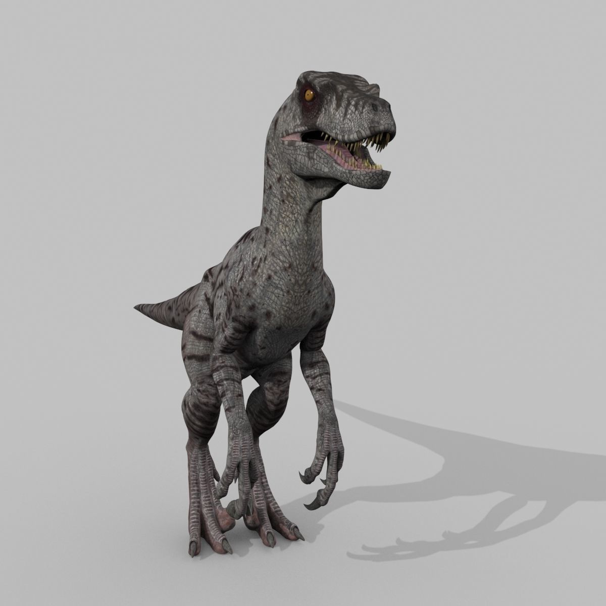 Female Alpha Raptor - 8K - Animated 3D model_38