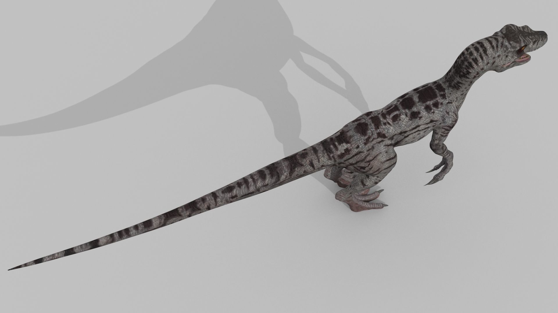 Female Alpha Raptor - 8K - Animated 3D model_32