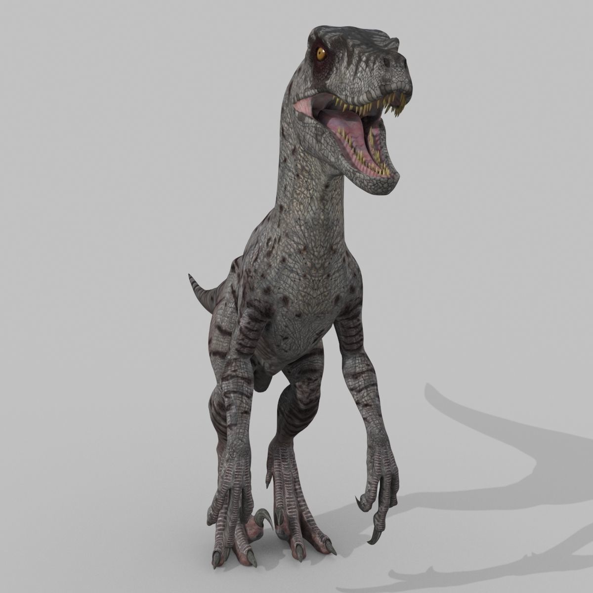 Female Alpha Raptor - 8K - Animated 3D model_15