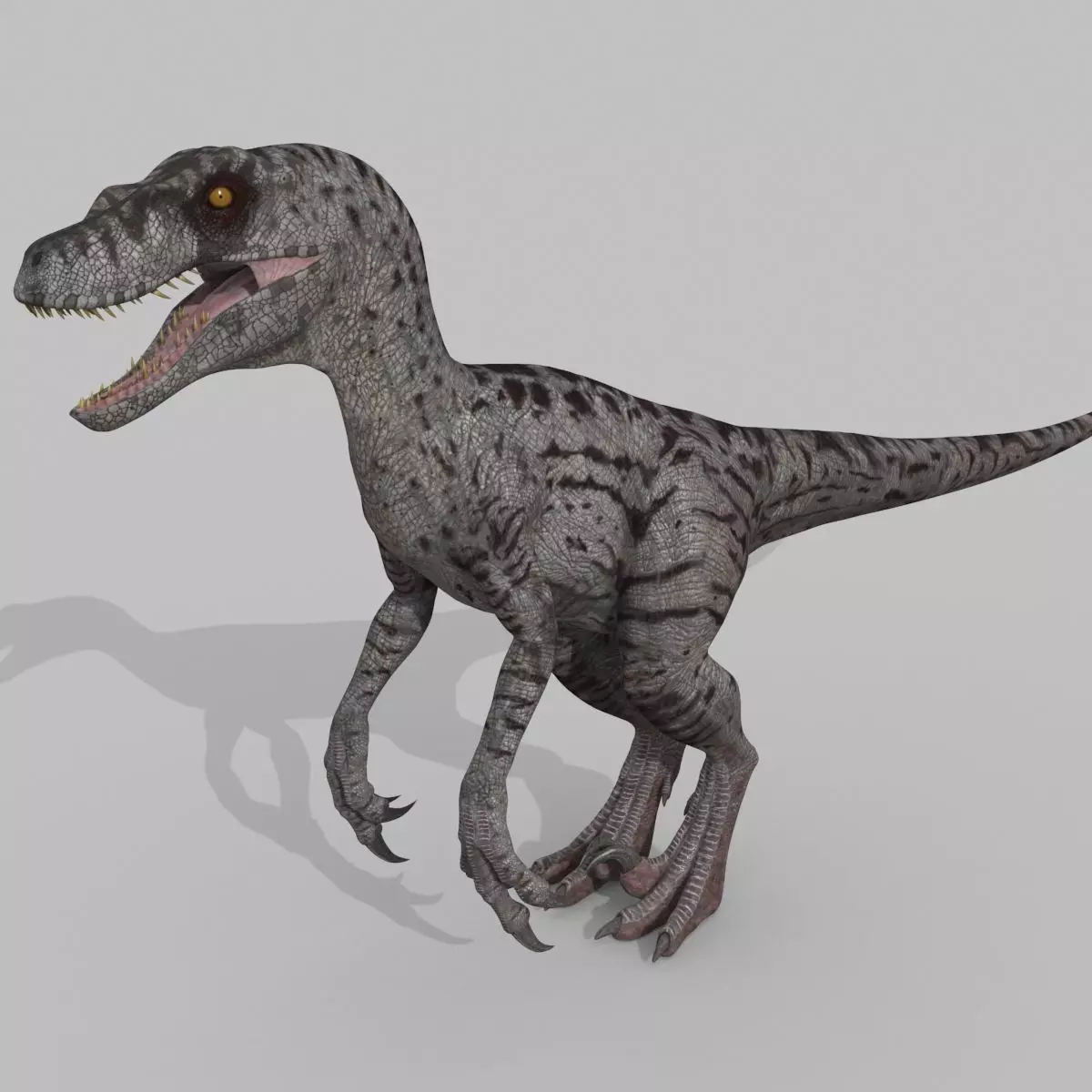 Female Alpha Raptor - 8K - Animated 3D model_0