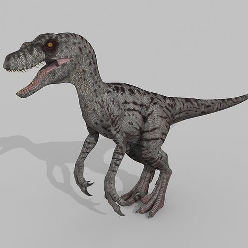 Female Alpha Raptor - 8K - Animated 3D model