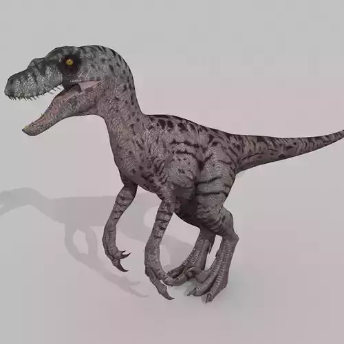 Female Alpha Raptor - 8K - Animated 3D model