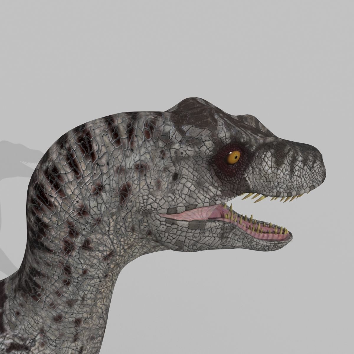 Female Alpha Raptor - 8K - Animated 3D model_25