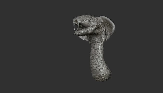 COBRA HEAD 3D model