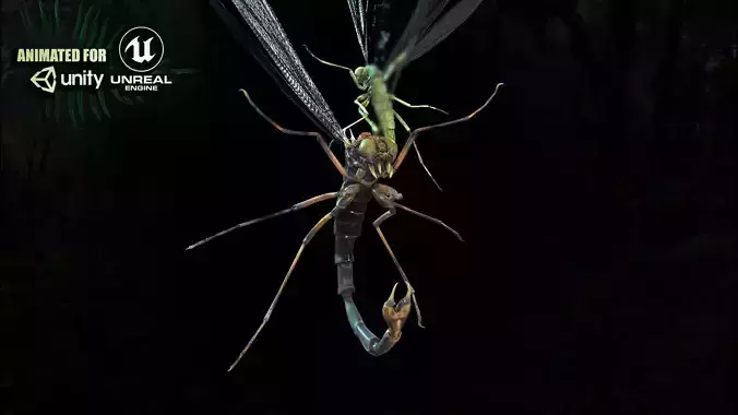 MosquitoVampire flying insect Low-poly 3D model