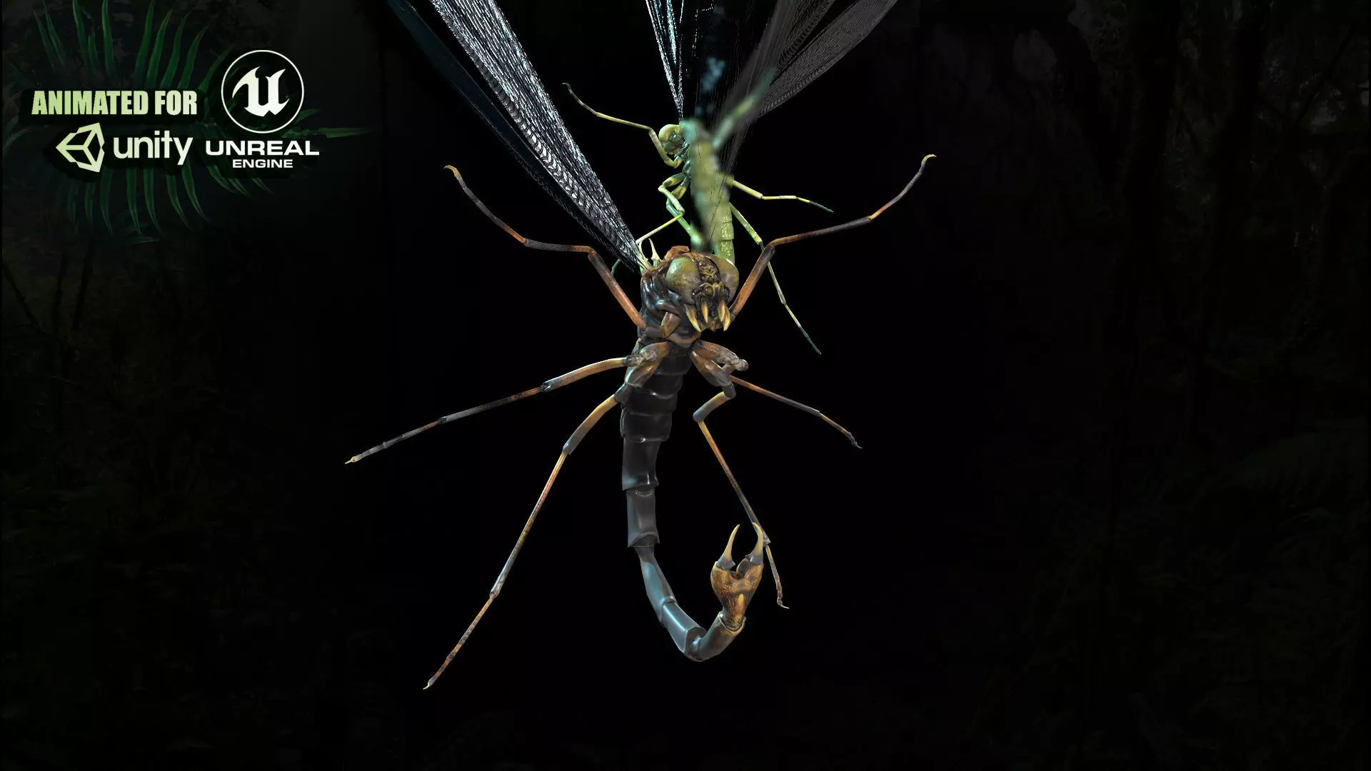 MosquitoVampire flying insect Low-poly 3D model_0