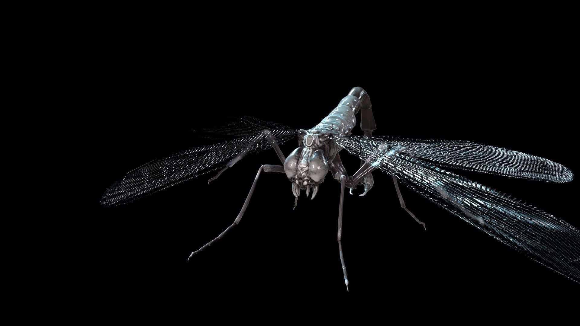 MosquitoVampire flying insect Low-poly 3D model_12