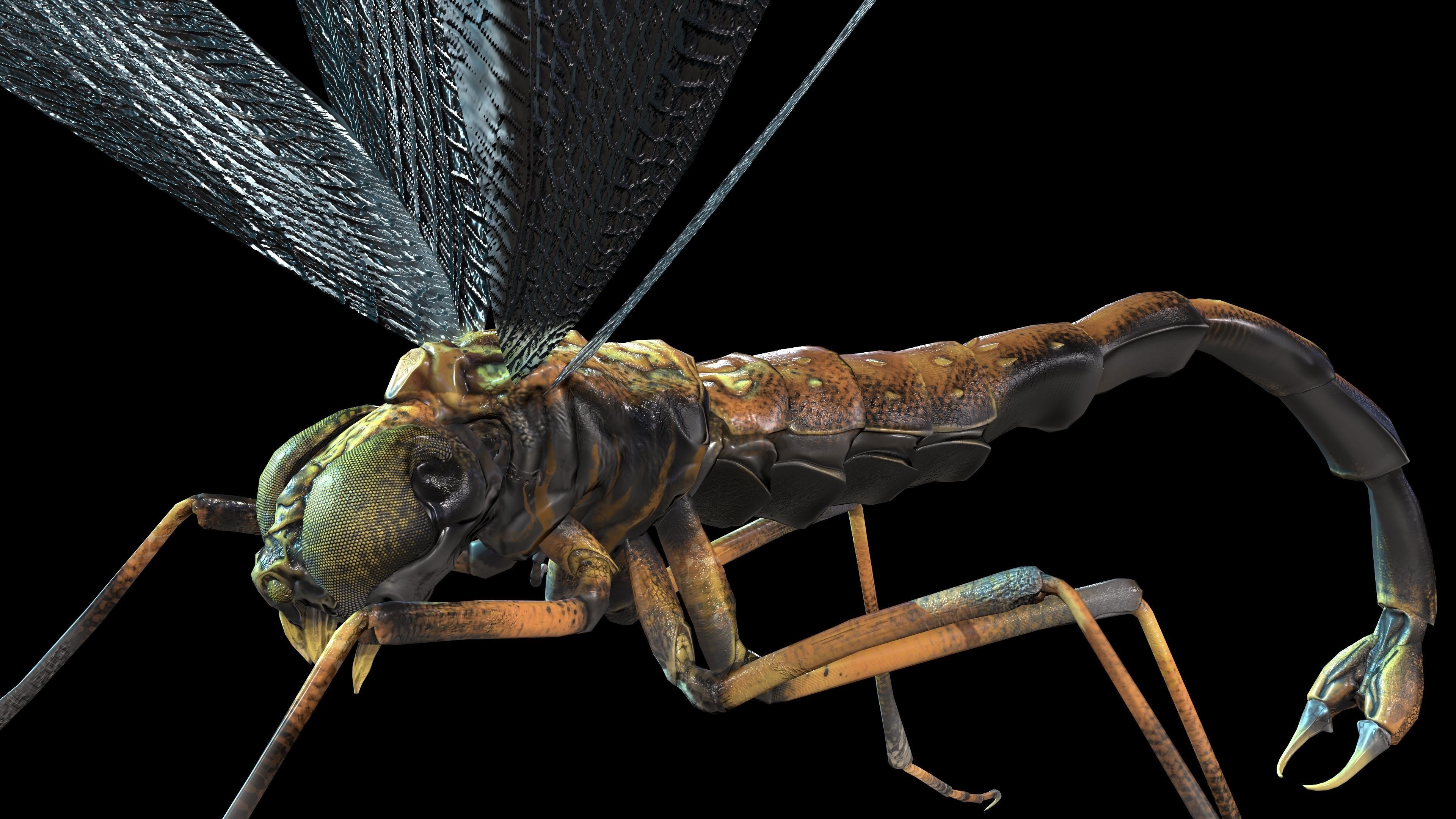 MosquitoVampire flying insect Low-poly 3D model_3