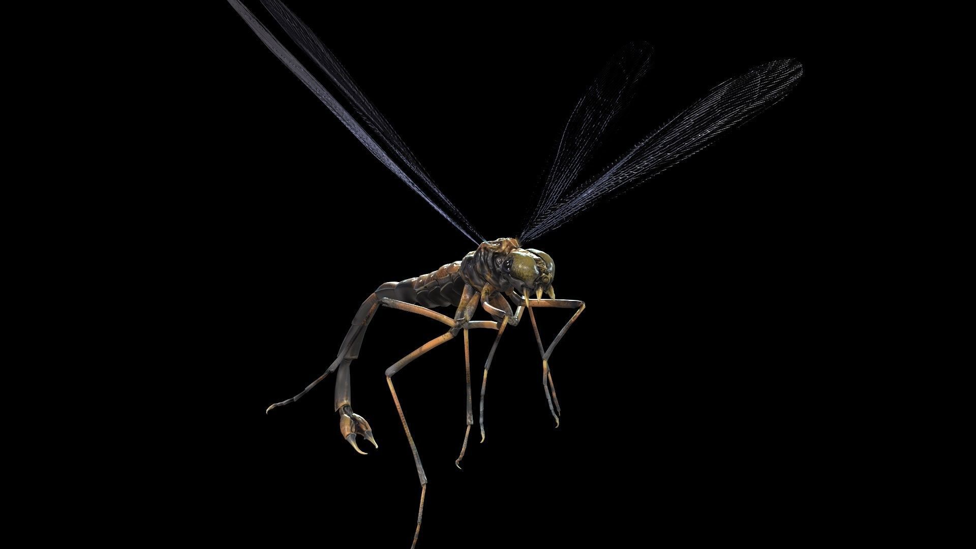 MosquitoVampire flying insect Low-poly 3D model_18