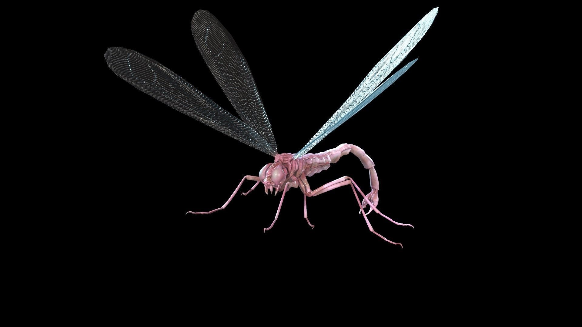 MosquitoVampire flying insect Low-poly 3D model_7