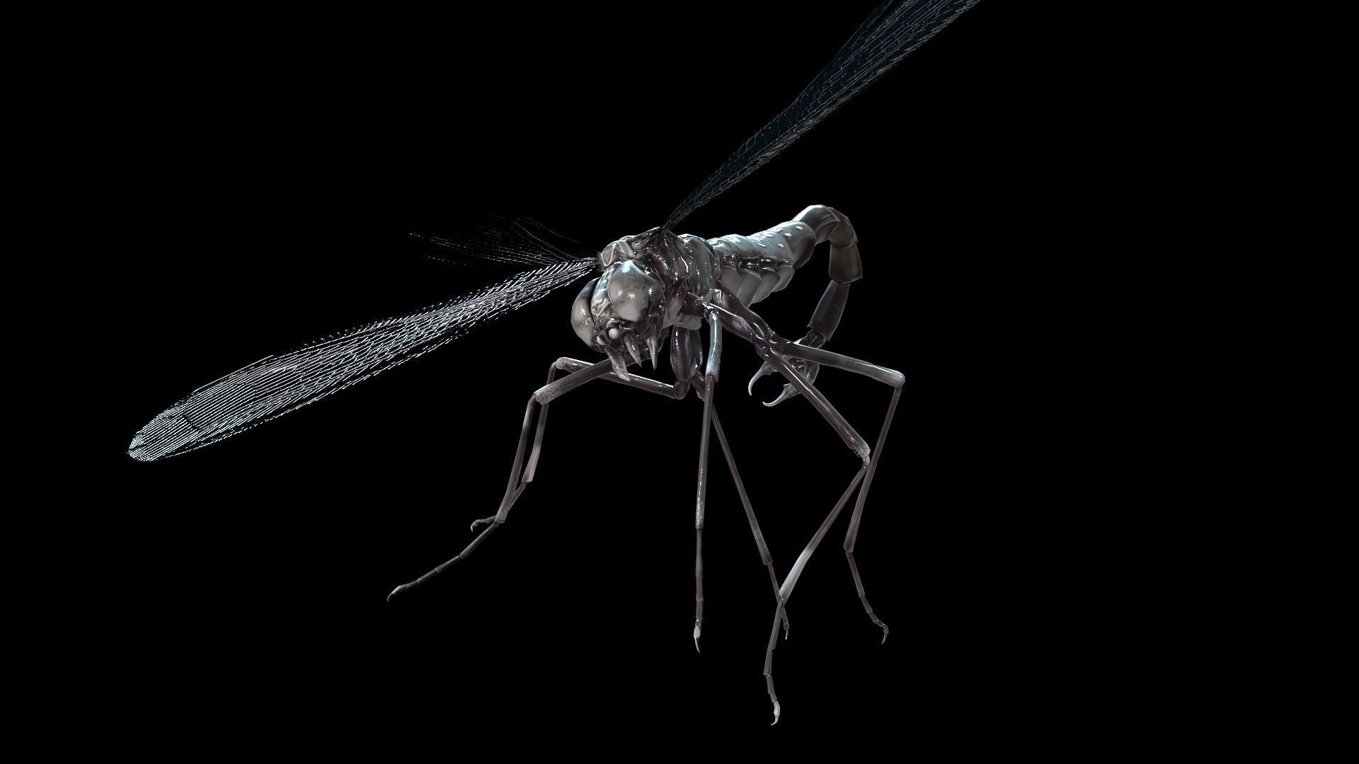 MosquitoVampire flying insect Low-poly 3D model_10