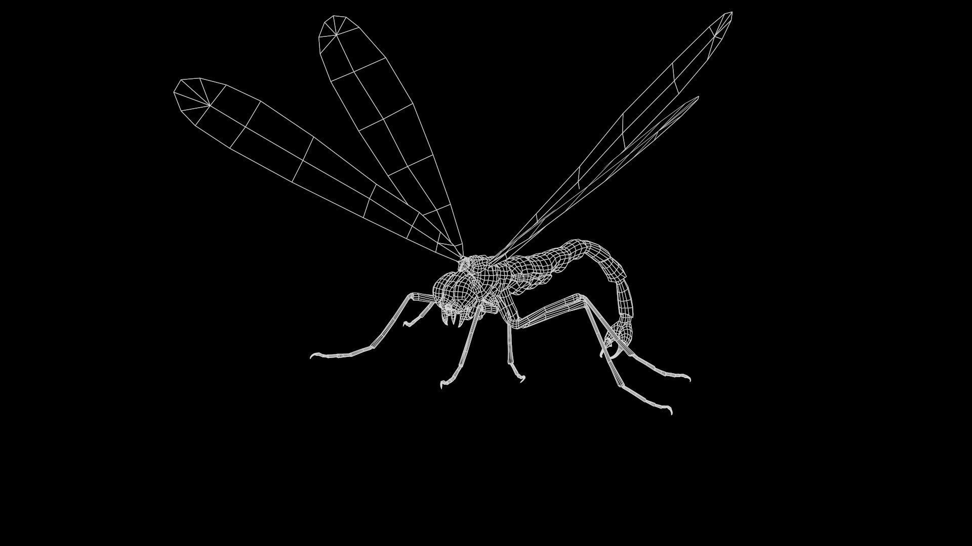 MosquitoVampire flying insect Low-poly 3D model_9