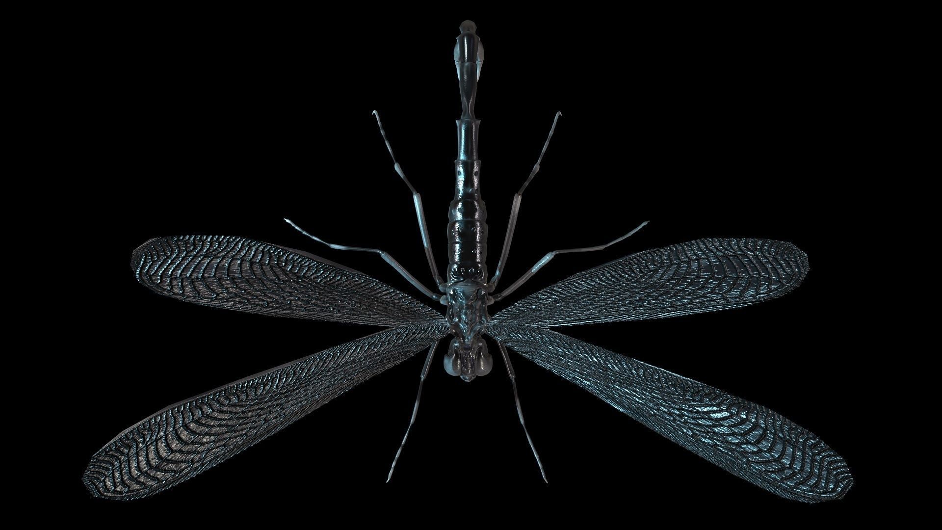 MosquitoVampire flying insect Low-poly 3D model_21