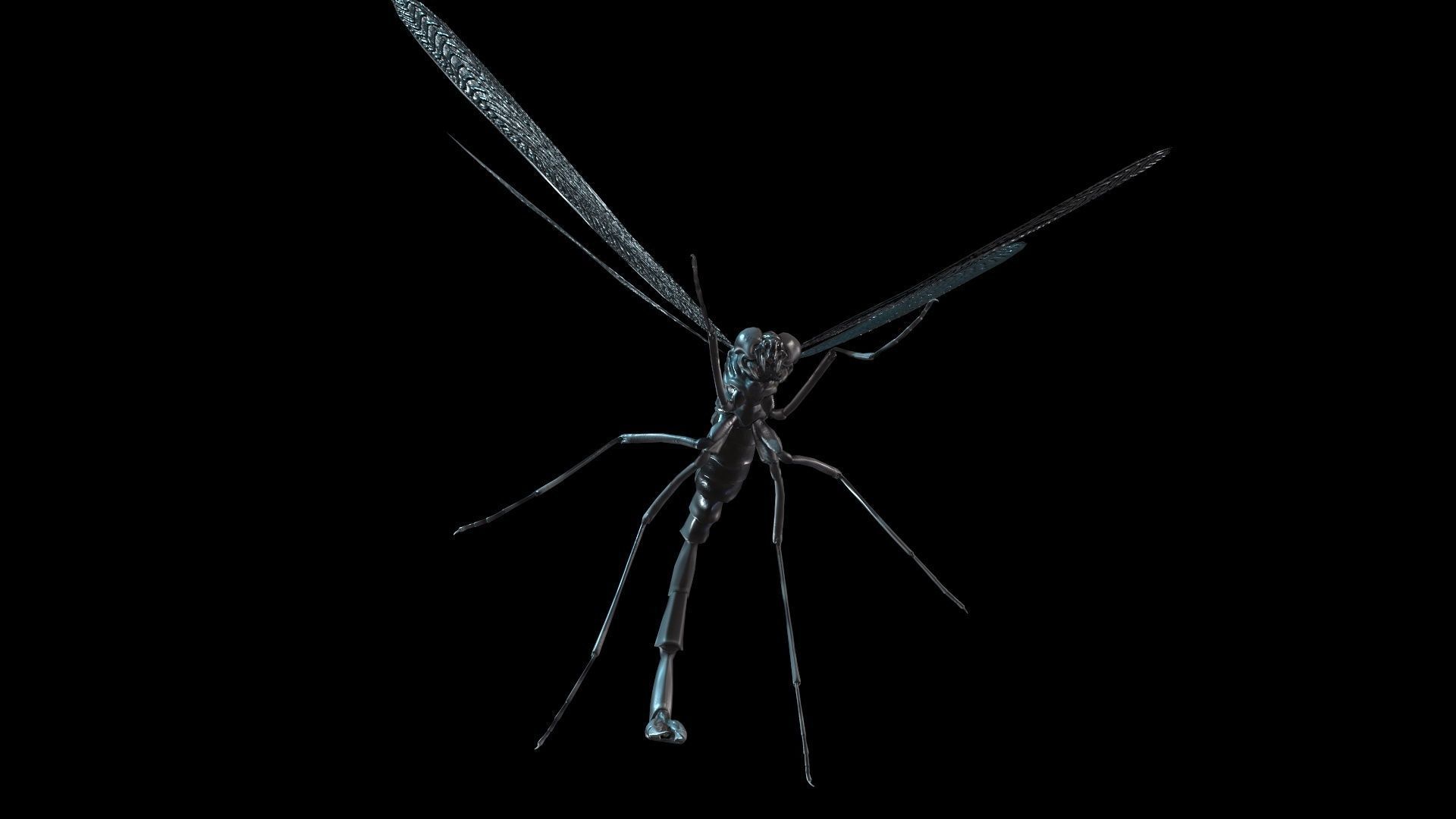 MosquitoVampire flying insect Low-poly 3D model_20