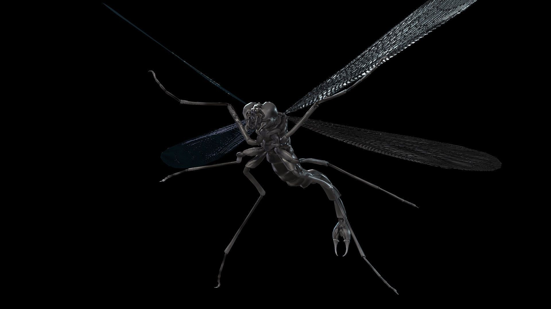 MosquitoVampire flying insect Low-poly 3D model_8
