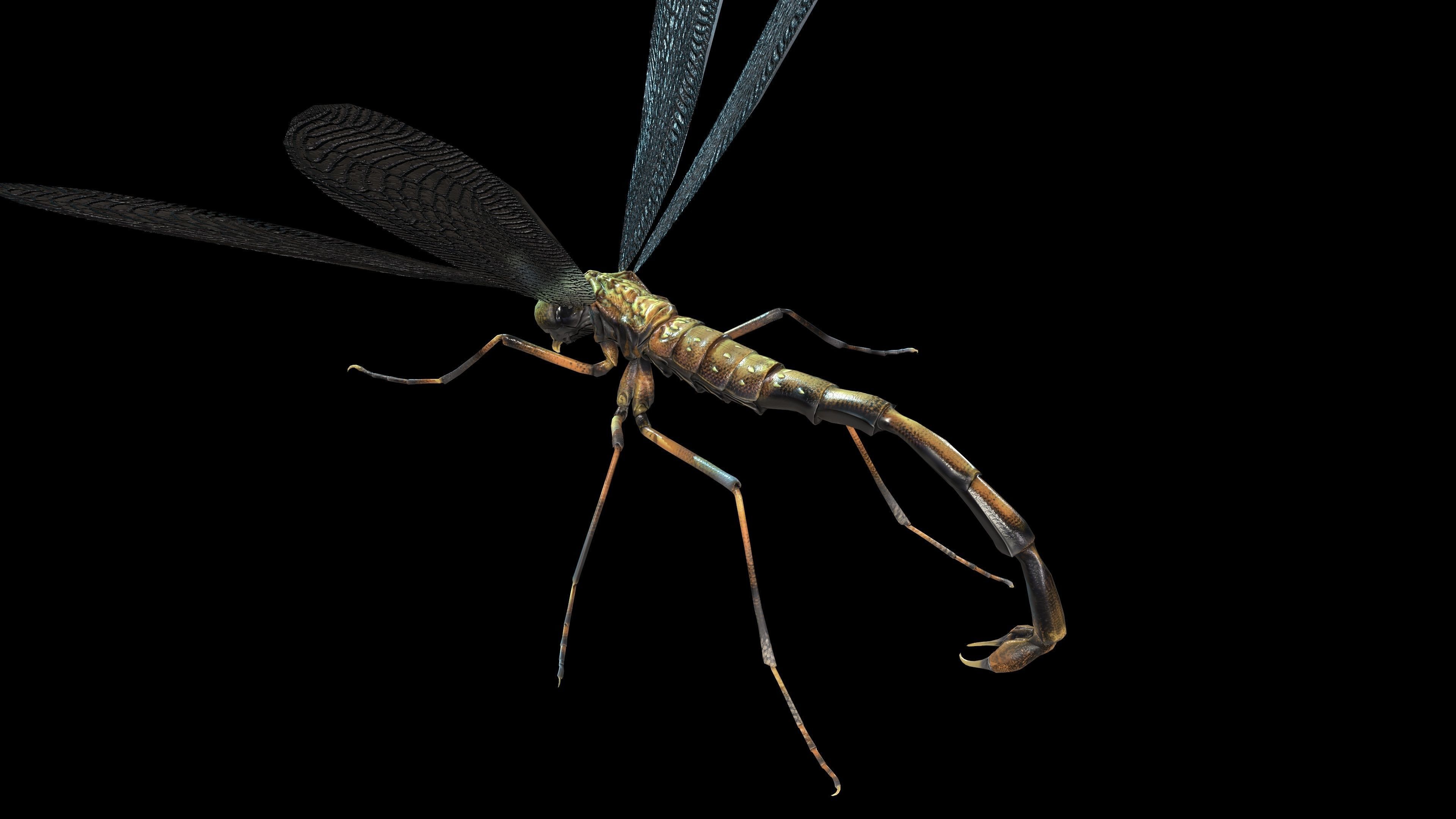 MosquitoVampire flying insect Low-poly 3D model_17