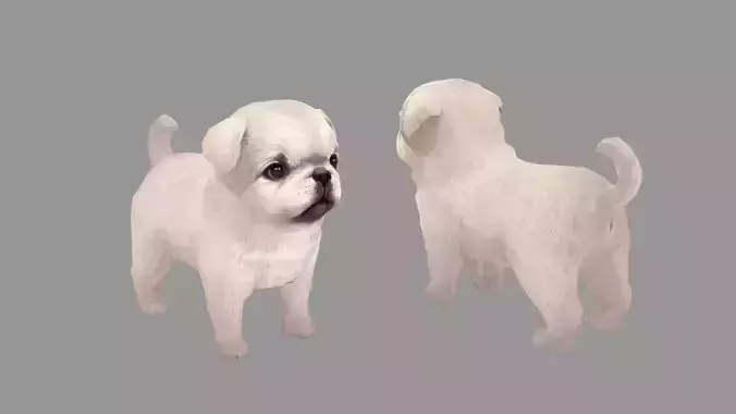 Cartoon pet puppy - White Paco - baby dog