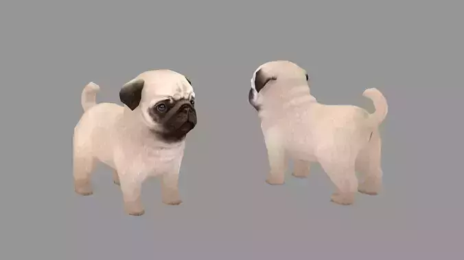 Cartoon pet puppy - Paco - baby dog