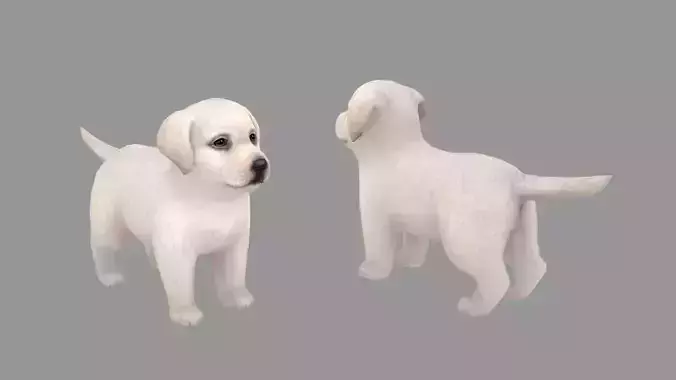 Cartoon pet puppy - Labrador - baby dog Low-poly 3D model