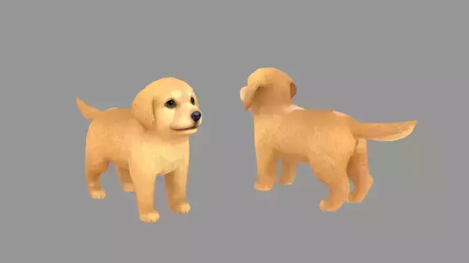 Cartoon pet puppy - Golden - baby dog Low-poly 3D model