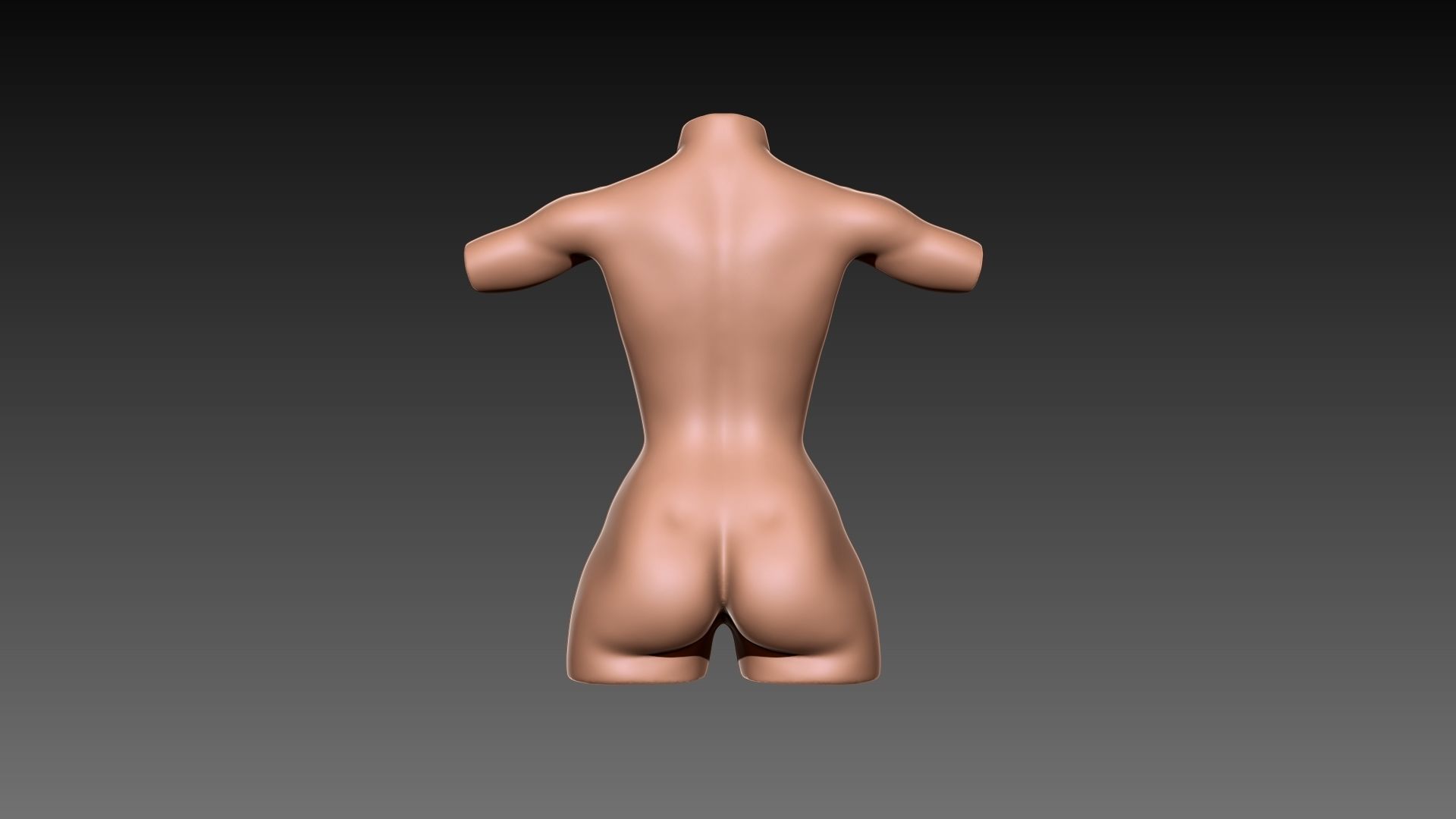 Female Torso For 3D printing 3D print model_4