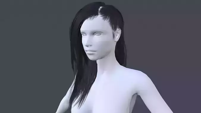 Long Low poly Hair
