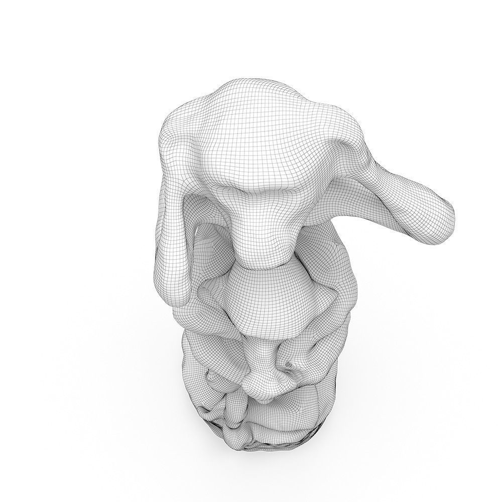 Three Wise Monkeys 3D model_14