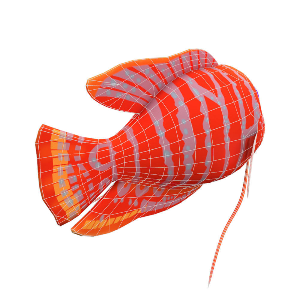 Dwarf Gourami Fish Cartoon Animated Low-poly 3D model_1