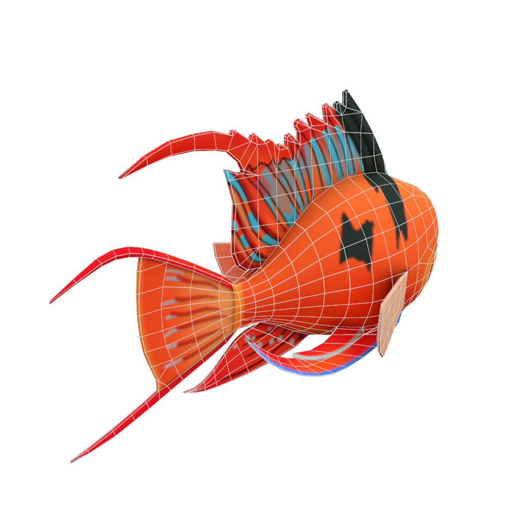 Bolivian Butterfly Fish Cartoon Animated Low-poly 3D model_5