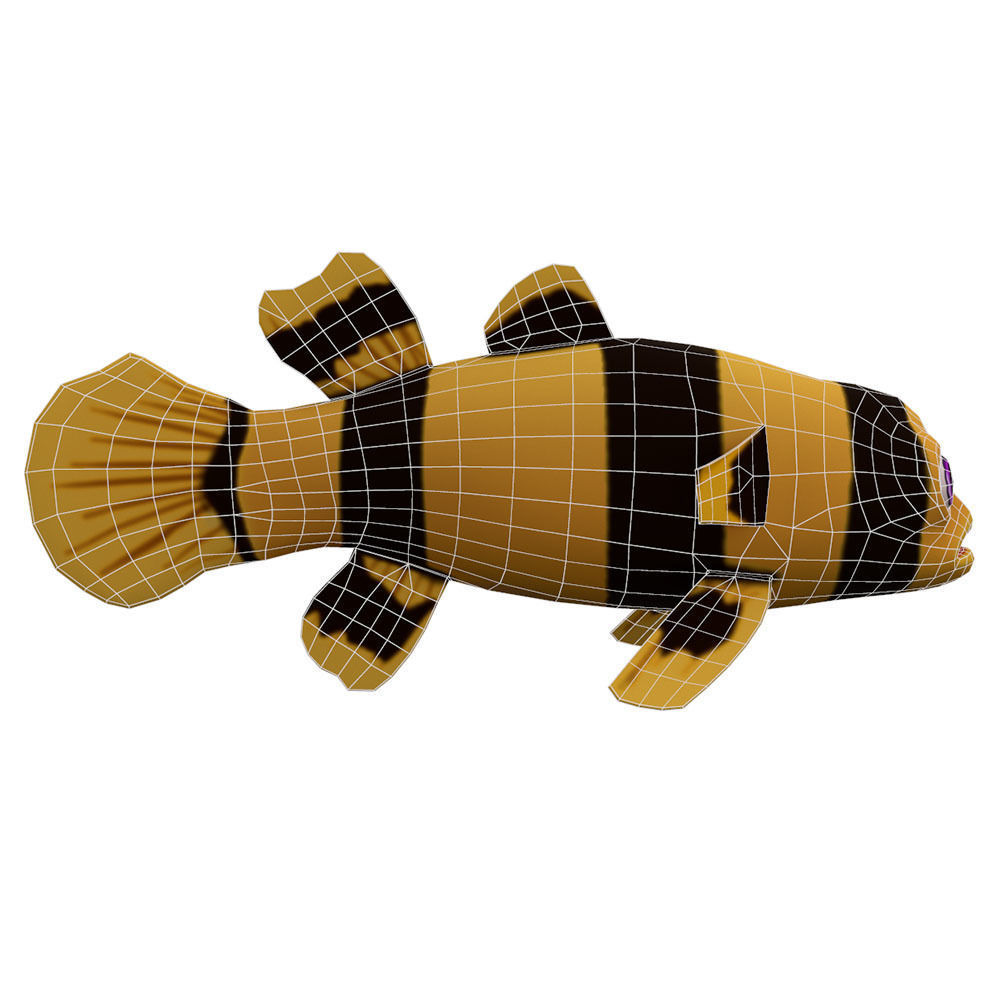Bumblebee Goby Fish Cartoon Animated Low-poly 3D model_3