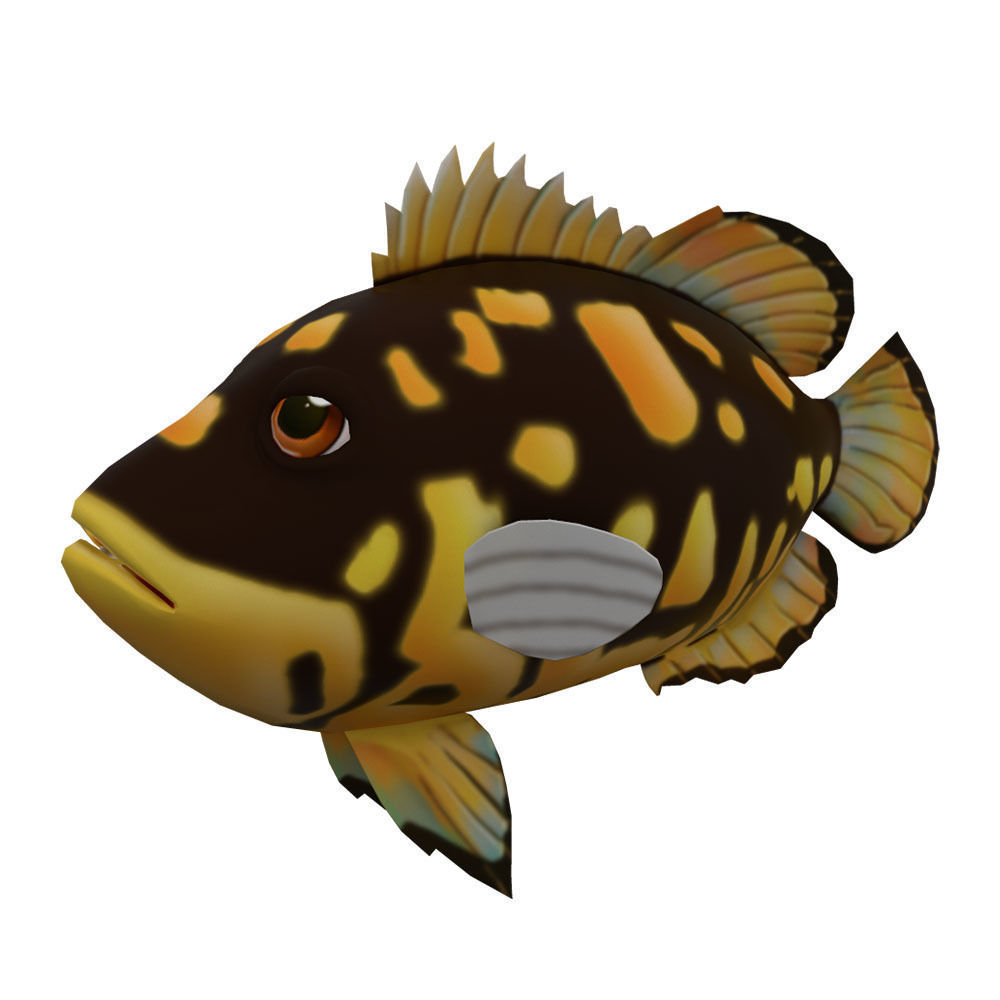 Tripletail Fish Cartoon Animated Low-poly 3D model_2