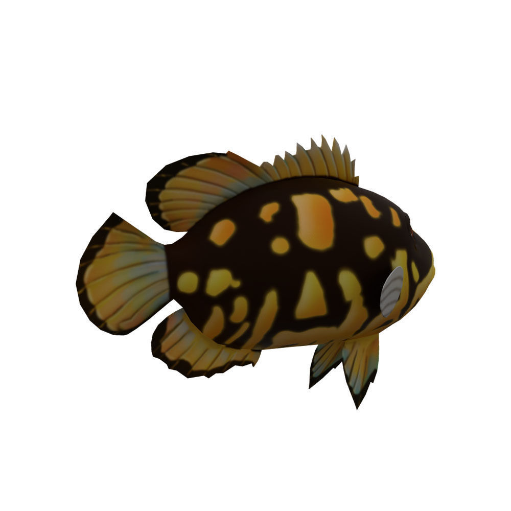 Tripletail Fish Cartoon Animated Low-poly 3D model_1
