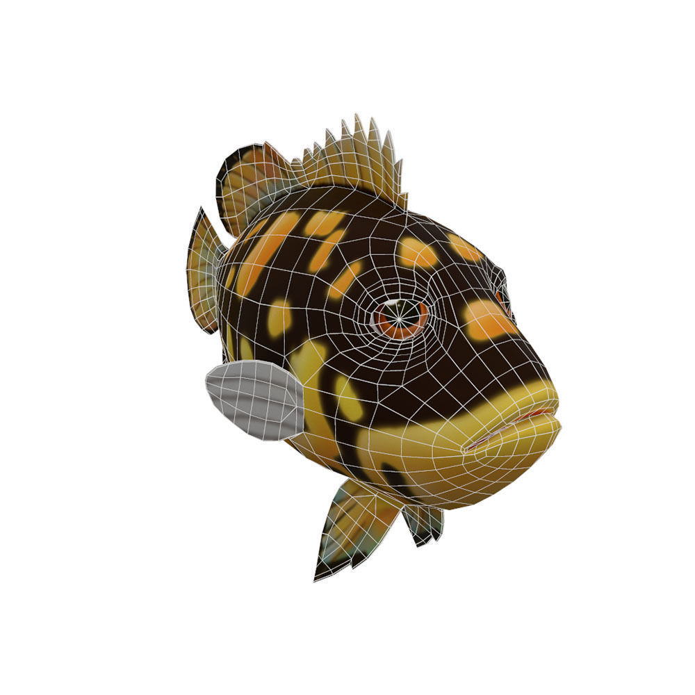 Tripletail Fish Cartoon Animated Low-poly 3D model_5