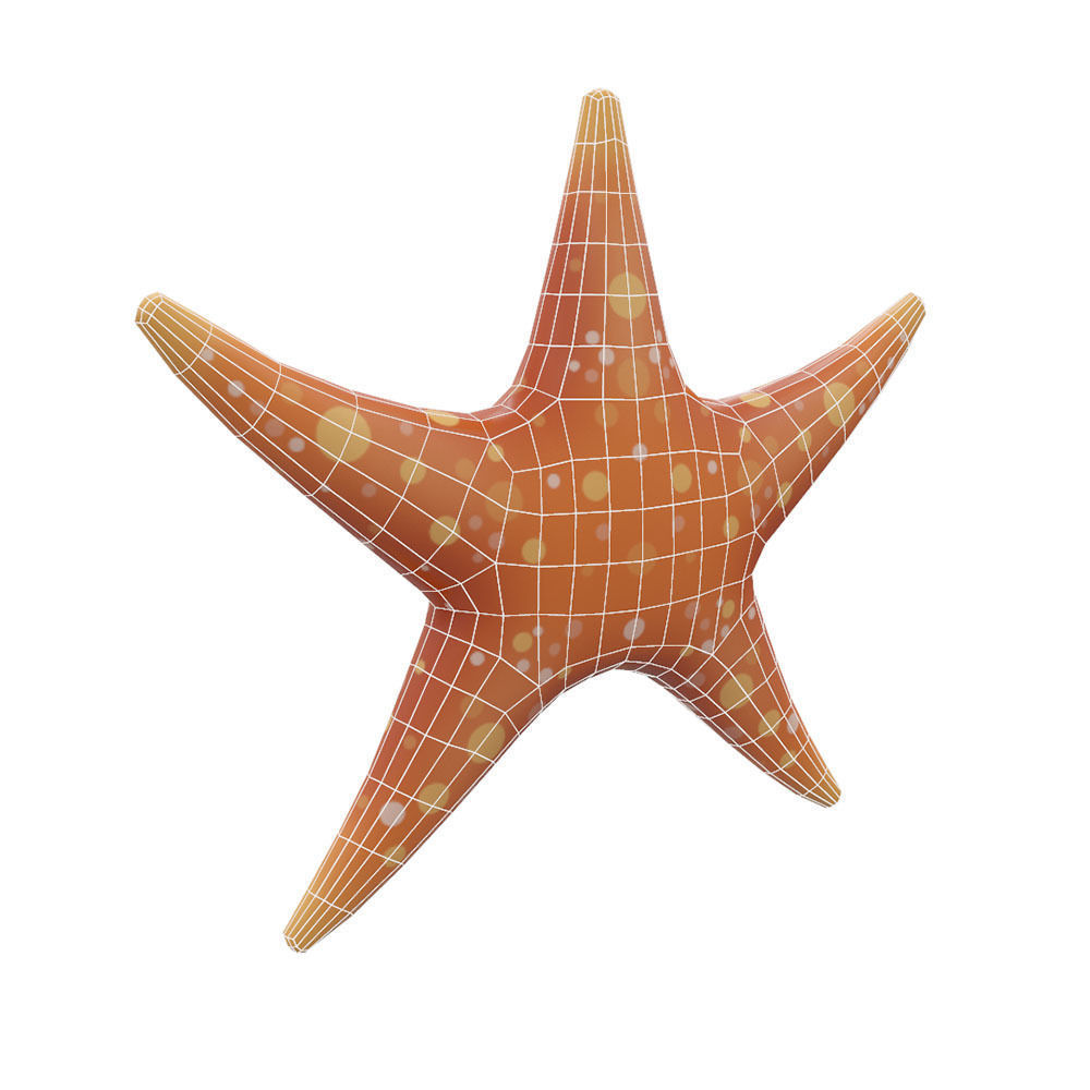 Common Star Fish Cartoon  Animated Low-poly 3D model_4