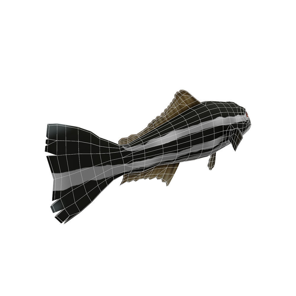 Cobia Fish Cartoon Animated Low-poly 3D model_6