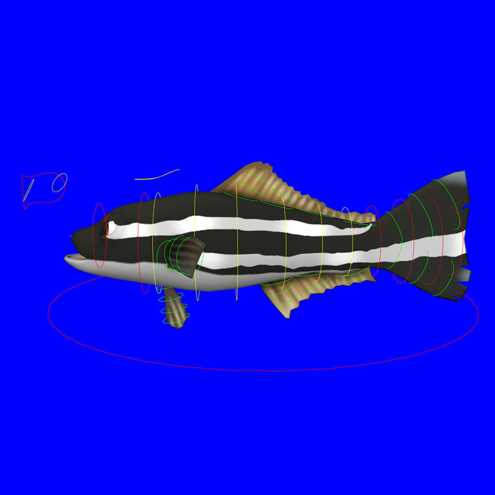 Cobia Fish Cartoon Animated Low-poly 3D model_7