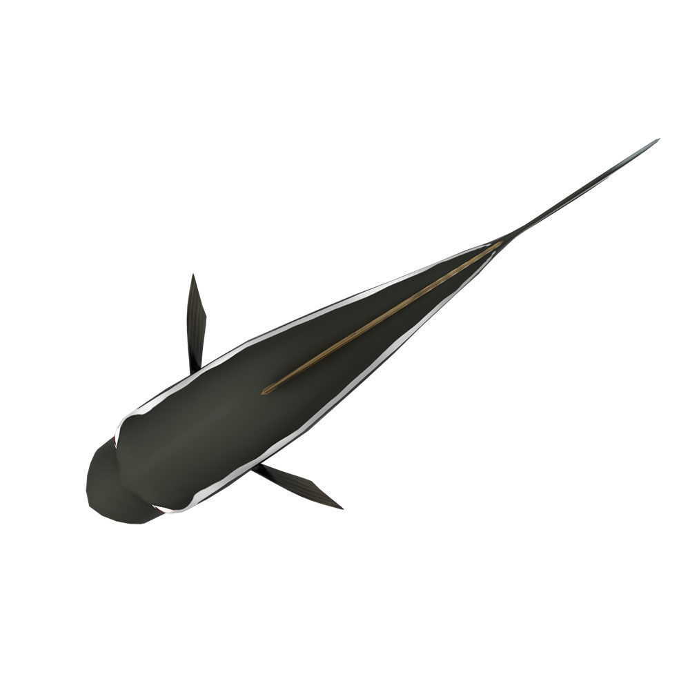 Cobia Fish Cartoon Animated Low-poly 3D model_1