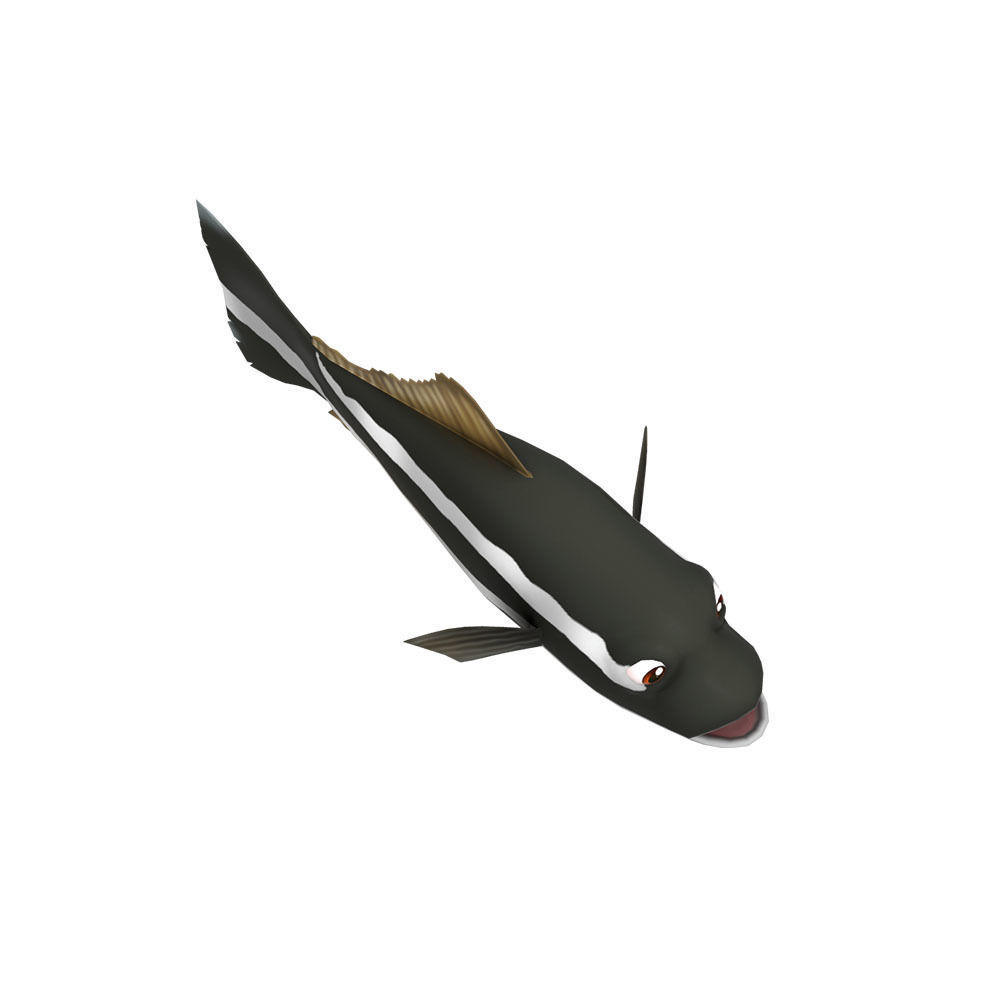 Cobia Fish Cartoon Animated Low-poly 3D model_3