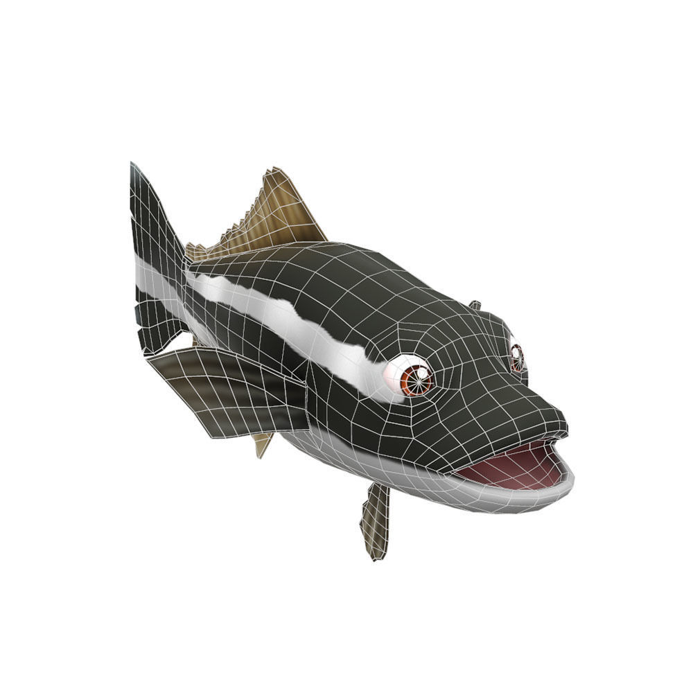 Cobia Fish Cartoon Animated Low-poly 3D model_5