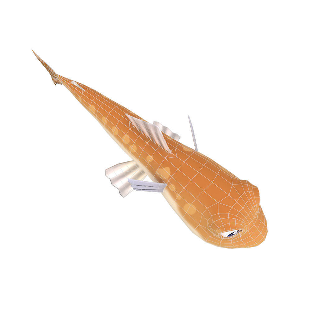 Greater Lizard Fish Cartoon Animated Low-poly 3D model_4