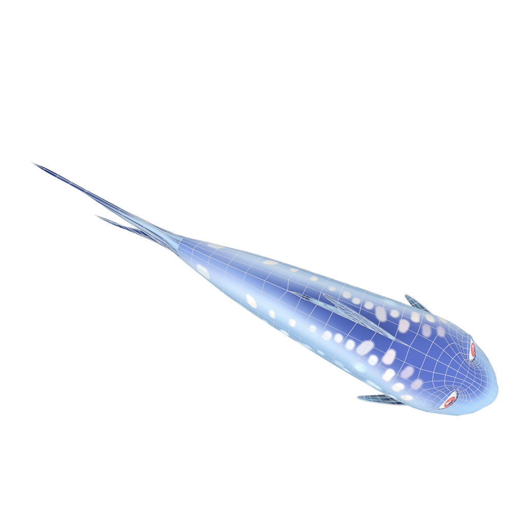 Milkfish Chanidae Fish Cartoon Animated Low-poly 3D model_4