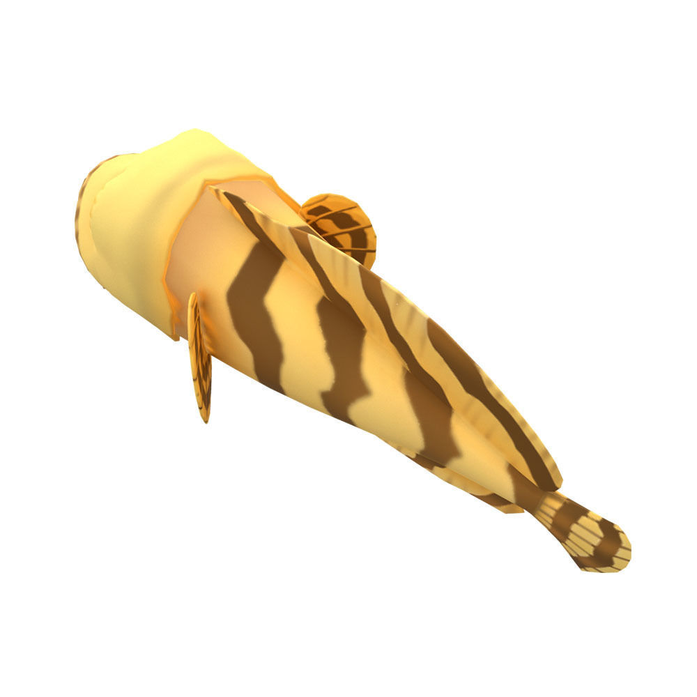 Oyster Toad Fish Cartoon Animated Low-poly 3D model_2