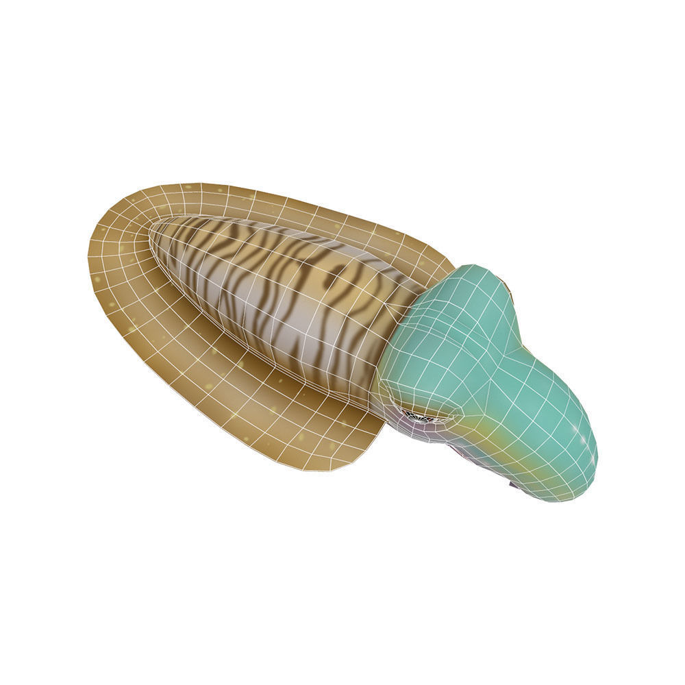 Common Cuttle Fish Cartoon Animated Low-poly 3D model_6