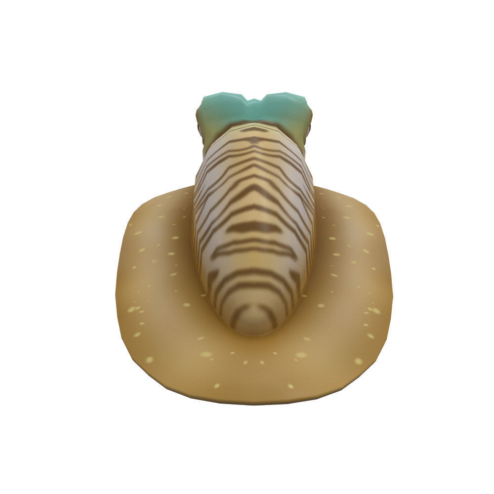 Common Cuttle Fish Cartoon Animated Low-poly 3D model_2