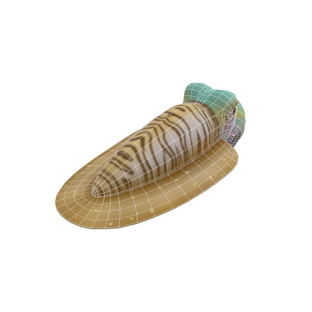 Common Cuttle Fish Cartoon Animated Low-poly 3D model_5
