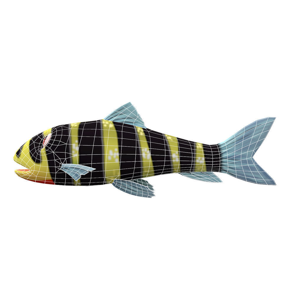 Banded Leporinus Fish Animated Low-poly 3D model_2