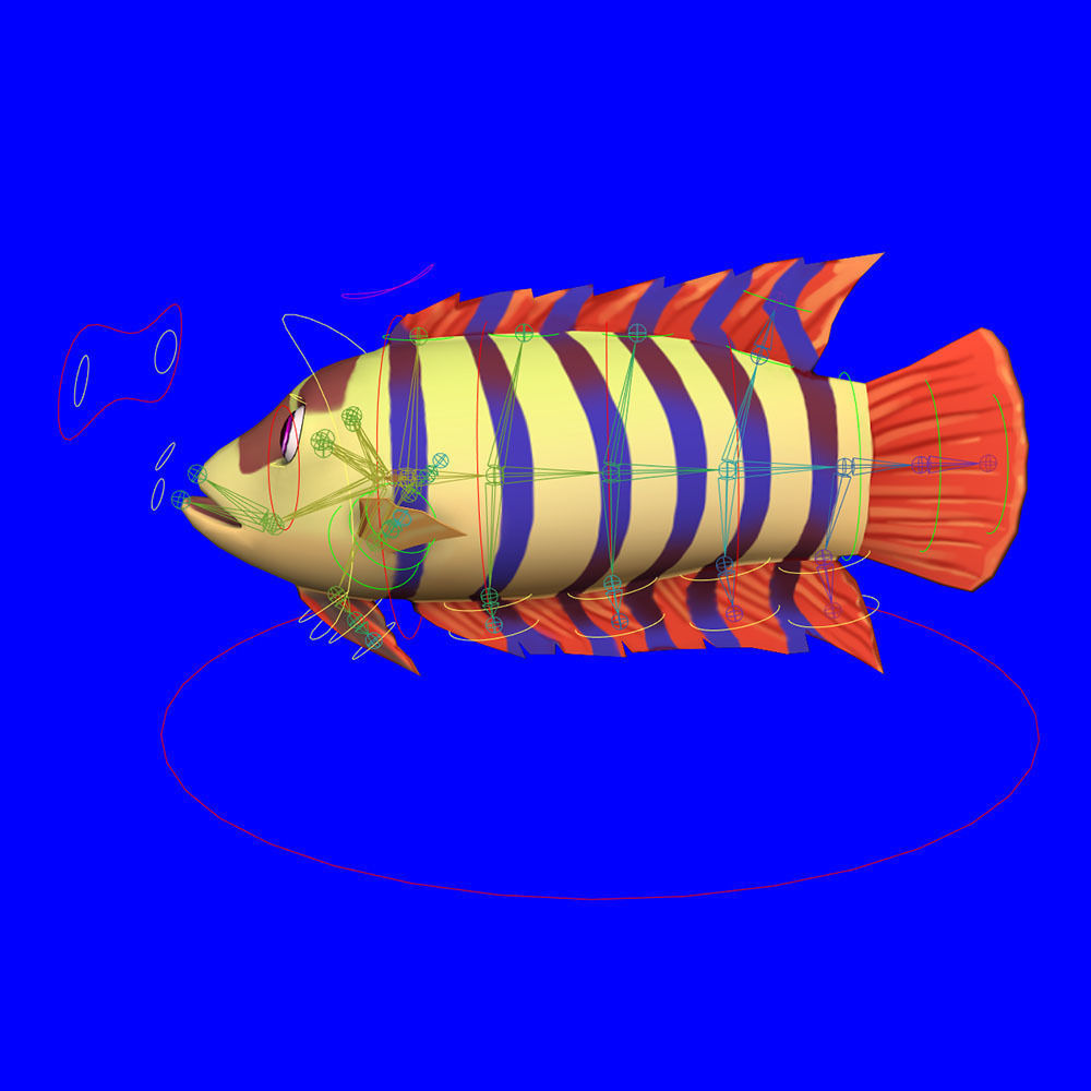 Ornate Climbing Perch Fish Animated Low-poly 3D model_7