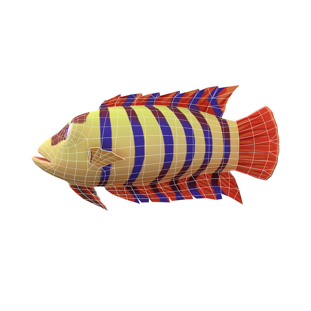 Ornate Climbing Perch Fish Animated Low-poly 3D model_2
