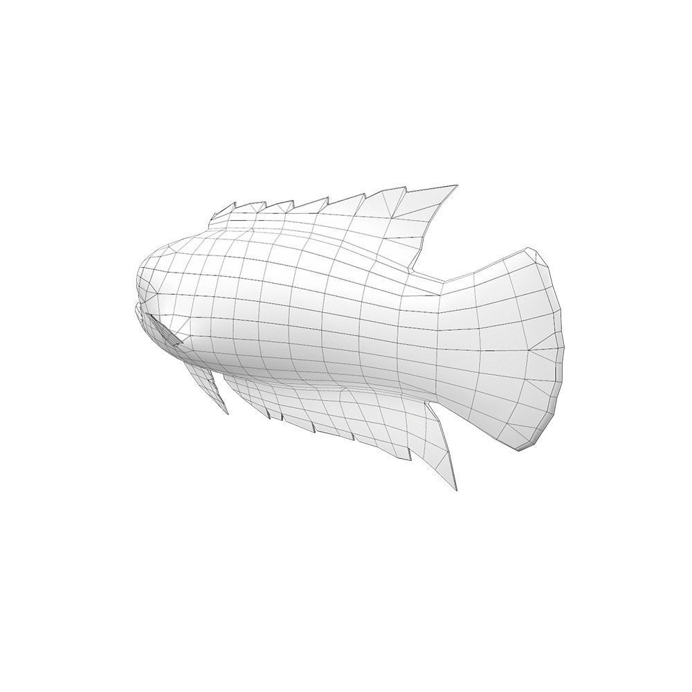 Ornate Climbing Perch Fish Animated Low-poly 3D model_5
