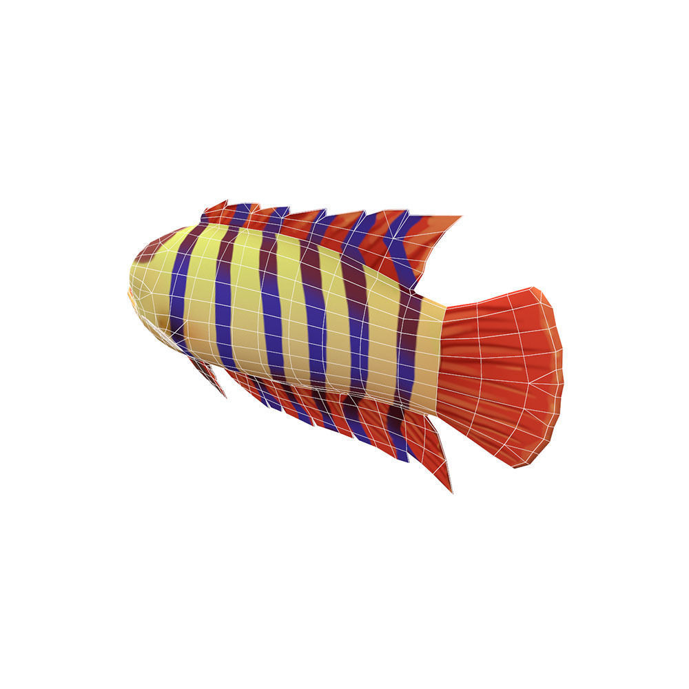 Ornate Climbing Perch Fish Animated Low-poly 3D model_1